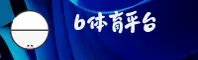 使用指南与常见问题